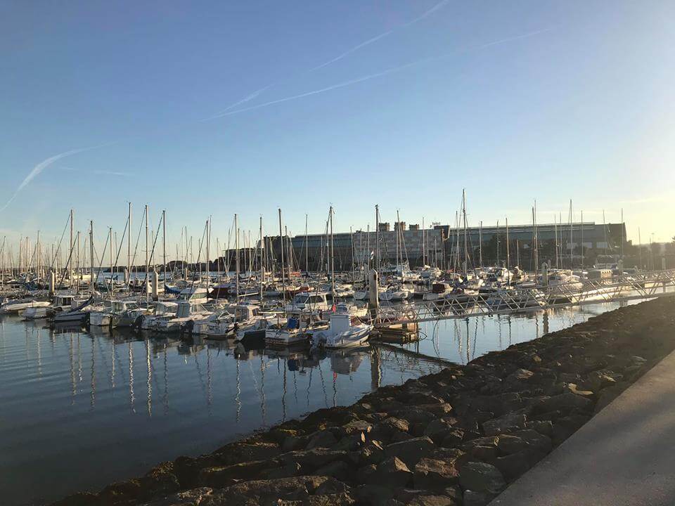 The marina